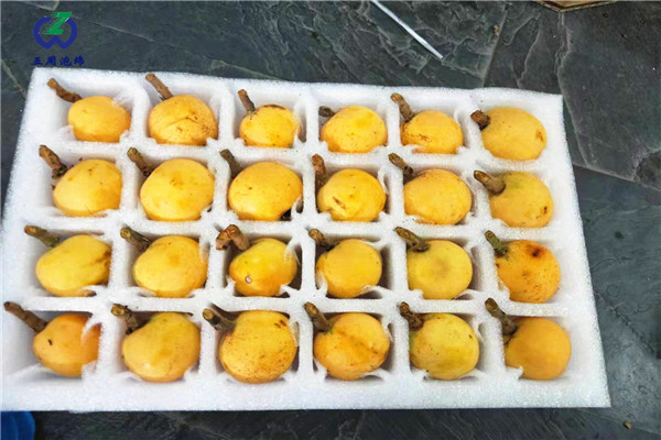 枇杷托是用哪種包裝材料？