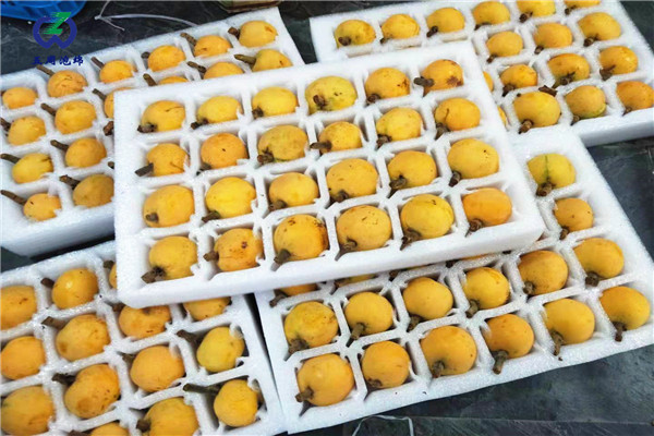 定做枇杷托的材料是環(huán)保的嗎？